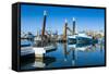 Fishing Boat Harbour of Fremantle, Western Australia, Australia, Pacific-Michael Runkel-Framed Stretched Canvas