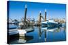 Fishing Boat Harbour of Fremantle, Western Australia, Australia, Pacific-Michael Runkel-Stretched Canvas