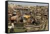 Fishing Boat Harbour, Porbander, Gujarat, India, Asia-Tony Waltham-Framed Stretched Canvas