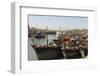 Fishing Boat Harbour, Porbander, Gujarat, India, Asia-Tony Waltham-Framed Photographic Print