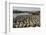 Fishing Boat Harbour, Porbander, Gujarat, India, Asia-Tony Waltham-Framed Photographic Print