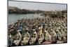 Fishing Boat Harbour, Porbander, Gujarat, India, Asia-Tony Waltham-Mounted Photographic Print