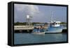 Fishing Boat in Harbour in Barbuda-Robert-Framed Stretched Canvas