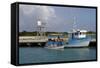 Fishing Boat in Harbour in Barbuda-Robert-Framed Stretched Canvas