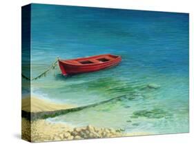 Fishing Boat In Island Corfu-kirilstanchev-Stretched Canvas