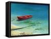 Fishing Boat In Island Corfu-kirilstanchev-Framed Stretched Canvas