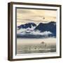 Fishing boat in Kenai Peninsula surrounded by mountains and wildlife-Janet Muir-Framed Photographic Print