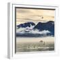 Fishing boat in Kenai Peninsula surrounded by mountains and wildlife-Janet Muir-Framed Photographic Print