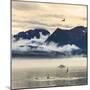 Fishing boat in Kenai Peninsula surrounded by mountains and wildlife-Janet Muir-Mounted Photographic Print
