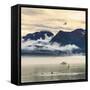 Fishing boat in Kenai Peninsula surrounded by mountains and wildlife-Janet Muir-Framed Stretched Canvas