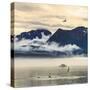 Fishing boat in Kenai Peninsula surrounded by mountains and wildlife-Janet Muir-Stretched Canvas