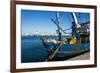 Fishing Boat in the Habour of the City of Rhodes, Rhodes, Dodecanese Islands, Greek Islands, Greece-Michael Runkel-Framed Photographic Print