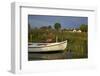 Fishing Boat in the Reed of the Saaler Bodden Close Ahrenshoop-Althagen-Uwe Steffens-Framed Photographic Print