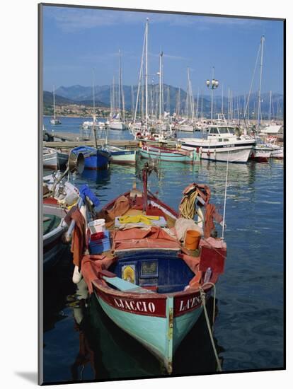 Fishing Boat Moored in the Harbour at Ajaccio, Island of Corsica, France, Mediterranean, Europe-Thouvenin Guy-Mounted Photographic Print