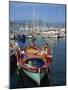 Fishing Boat Moored in the Harbour at Ajaccio, Island of Corsica, France, Mediterranean, Europe-Thouvenin Guy-Mounted Photographic Print
