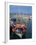 Fishing Boat Moored in the Harbour at Ajaccio, Island of Corsica, France, Mediterranean, Europe-Thouvenin Guy-Framed Photographic Print