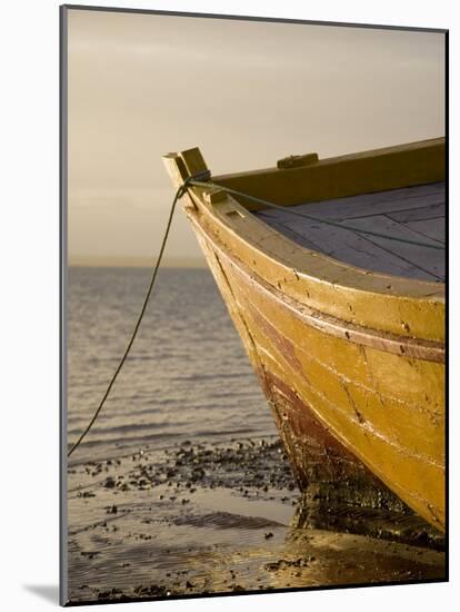 Fishing Boat on the Beach at Low Tide, Ilha Do Mozambique-Julian Love-Mounted Photographic Print