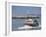 Fishing Boat Returning from Fishing, Deauville, Normandy, France-Guy Thouvenin-Framed Photographic Print