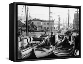 Fishing Boat Sitka and Others Moored at Seattle Docks-Ray Krantz-Framed Stretched Canvas