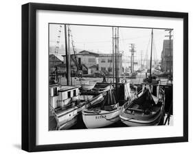 Fishing Boat Sitka and Others Moored at Seattle Docks-Ray Krantz-Framed Photographic Print