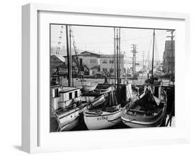 Fishing Boat Sitka and Others Moored at Seattle Docks-Ray Krantz-Framed Photographic Print