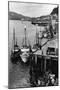 Fishing Boats along shore in Southeastern Alaska Photograph - Alaska-Lantern Press-Mounted Art Print