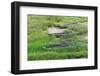 Fishing boats along the coast of East China Sea, Xiapu, Fujian Province, China-Keren Su-Framed Photographic Print