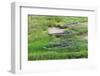 Fishing boats along the coast of East China Sea, Xiapu, Fujian Province, China-Keren Su-Framed Photographic Print