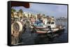 Fishing boats and cruise ship, harbour, Kos Town, Kos, Dodecanese, Greek Islands, Greece, Europe-Eleanor Scriven-Framed Stretched Canvas