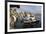 Fishing boats and cruise ship, harbour, Kos Town, Kos, Dodecanese, Greek Islands, Greece, Europe-Eleanor Scriven-Framed Photographic Print