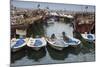 Fishing Boats and Dhows in the Old Ships Port, Kuwait City, Kuwait, Middle East-Jane Sweeney-Mounted Photographic Print