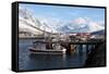 Fishing Boats and Lyngen Alps, Troms, Norway, Scandinavia, Europe-David Lomax-Framed Stretched Canvas