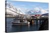 Fishing Boats and Lyngen Alps, Troms, Norway, Scandinavia, Europe-David Lomax-Stretched Canvas