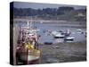 Fishing Boats and Pleasure Boats in Harbour, Cote De Granit Rose, Brittany, France-David Hughes-Stretched Canvas