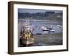 Fishing Boats and Pleasure Boats in Harbour, Cote De Granit Rose, Brittany, France-David Hughes-Framed Photographic Print