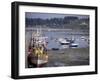 Fishing Boats and Pleasure Boats in Harbour, Cote De Granit Rose, Brittany, France-David Hughes-Framed Photographic Print