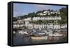 Fishing Boats and Sailing Yachts Moored in Looe Harbour, Cornwall, England, United Kingdom, Europe-Nick Upton-Framed Stretched Canvas