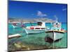 Fishing Boats at Anopi Beach, Karpathos, Dodecanese, Greek Islands, Greece, Europe-Sakis Papadopoulos-Mounted Photographic Print