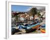 Fishing Boats at Camara De Lobos, Madeira-null-Framed Photographic Print