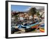 Fishing Boats at Camara De Lobos, Madeira-null-Framed Photographic Print