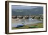 Fishing Boats at Low Tide, San Vicente De Al Barquera, Spain-David R. Frazier-Framed Photographic Print