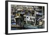 Fishing Boats at Negombo Lagoon, Negombo, Sri Lanka, Asia-John Woodworth-Framed Photographic Print