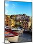 Fishing Boats at Rest in Manarola in Cinque Terre, Tuscany, Italy-Richard Duval-Mounted Photographic Print