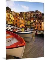 Fishing Boats at Rest in Manarola in Cinque Terre, Tuscany, Italy-Richard Duval-Mounted Photographic Print