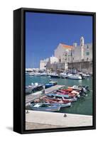 Fishing Boats at the Harbour, Old Town with Cathedral, Giovinazzo, Bari District, Puglia-Markus Lange-Framed Stretched Canvas