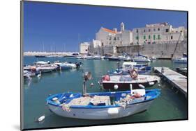 Fishing Boats at the Harbour, Old Town with Cathedral, Giovinazzo, Bari District, Puglia-Markus Lange-Mounted Photographic Print