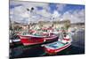 Fishing Boats at the Old Port of Puerto De Mogan-Markus Lange-Mounted Photographic Print