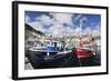 Fishing Boats at the Old Port of Puerto De Mogan-Markus Lange-Framed Photographic Print