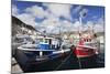 Fishing Boats at the Old Port of Puerto De Mogan-Markus Lange-Mounted Photographic Print