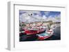 Fishing Boats at the Old Port of Puerto De Mogan-Markus Lange-Framed Photographic Print